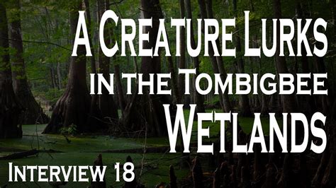 A Tale as Old as Time: The Eternal Curse of the Wetlands